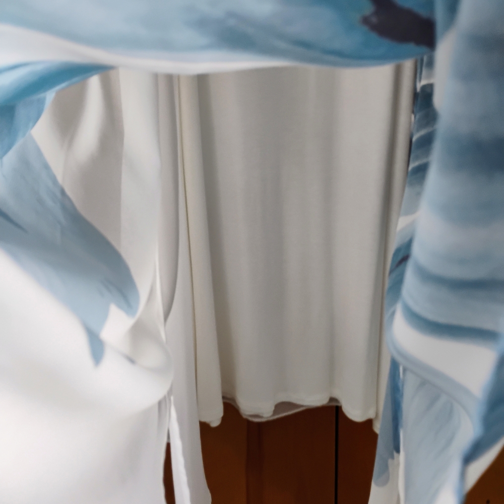 Wynne Layer Size XL Floral Midi Dress in Blue and White 2 Pieces Sheer Overlay - Picture 9 of 14